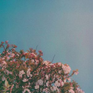 动漫护士被爆❌挤奶com
